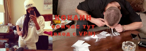 шишки Богородицк