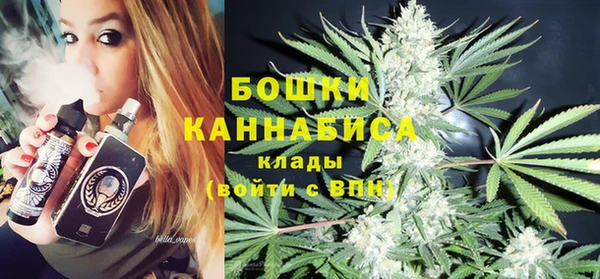 шишки Богородицк