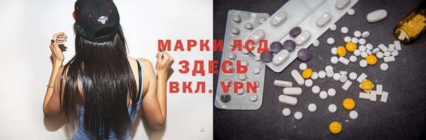 стафф Богданович