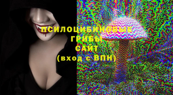 стафф Богданович