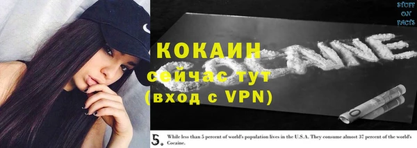 стафф Богородск