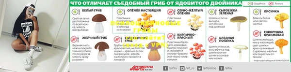 стаф Беломорск