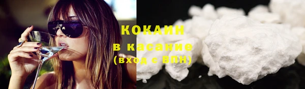 шишки Богородицк