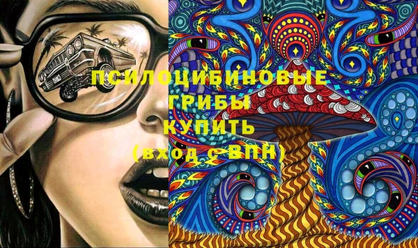 стафф Богородск