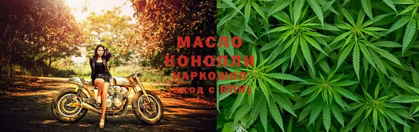 стафф Богданович