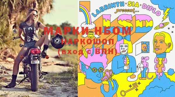 стафф Богданович