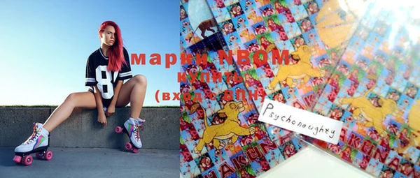стафф Богданович