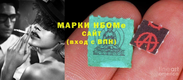 шишки Богородицк