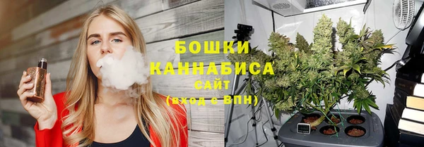 стафф Богородск