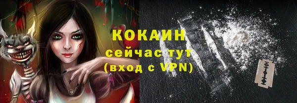 стафф Богданович