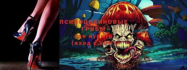 стафф Богданович