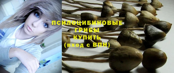 шишки Богородицк