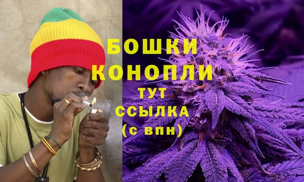 шишки Богородицк