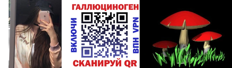 OMG вход Октябрьский Псилоцибиновые грибы Cubensis как найти